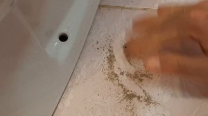 Сорвались крепежи биде, унитаза, что делать?
