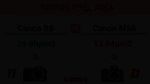 Canon R8 vs Canon M50 Comparison: 17 Reasons to buy the R8 and 3 Reasons to buy the M50