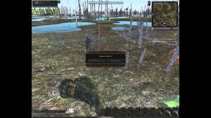 Веселились как могли