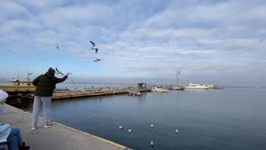 Одесса, прогулка к морскому вокзалу и близким местам