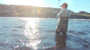 Кольский. Умба. Лето 2021.