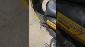 Авито. Скутер Racer Sagita 72cc.