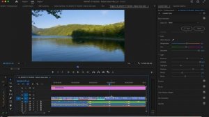 Уроки кольорової корекції природи в Adobe Premiere Pro – Перевірка кольору на панелі Lumetri – Ч. #