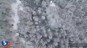 ЗНАКИ ЗОДИАКА КОТОРЫЕ НЕ УМЕЮТ ЛЮБИТЬ