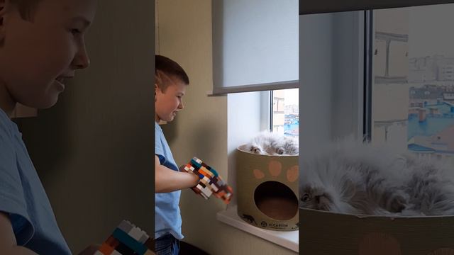 Когти росомахи из лего смотреть онлайн