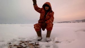 Как поддерживать активность окуня и управлять стаей.