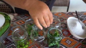 My Way to Storing Vine Leaves for the Winter with Mint and Plum - Cooking Fresh Beans for Dinner