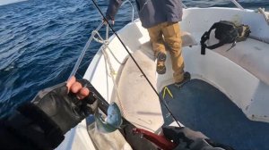 Ловля Луфаря поздней осенью. Рыбалка в Черном Море. 22 г.к. Анапа