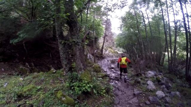 WRC 2019 La Molina смотреть онлайн