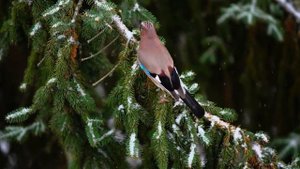 Как изменить свою жизнь. | Книга в ухе. | Есть ли надежда?