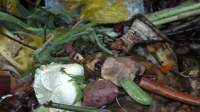 Eco Tips: Backyard composter смотреть онлайн