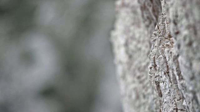 Ванга назвала 4 Знака Зодиака со Стальным характером, их не сломать смотреть онлайн