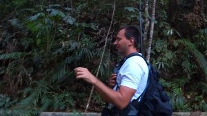 ПЕРВОБЫТНЫЙ ЛЕС СИНХАРАДЖА| Прощаемся со Шри-Ланкой | ВЛОГ #18