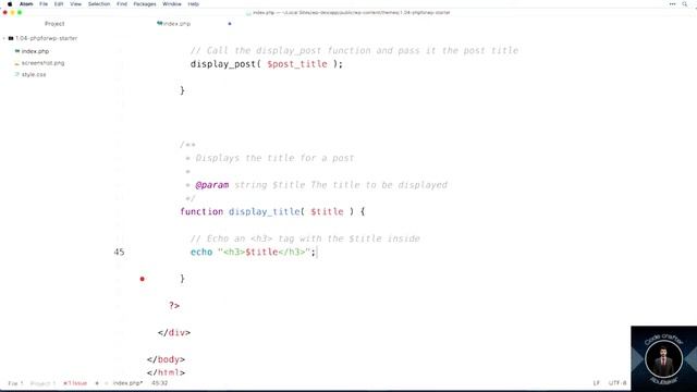 Building Themes and Plugins: Practice PHP Basics Lecture #12