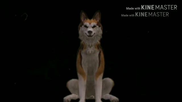 Клип: дура (Wildcraft) ч.о. смотреть онлайн