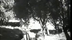 Есть такой город Новомосковск, 1963