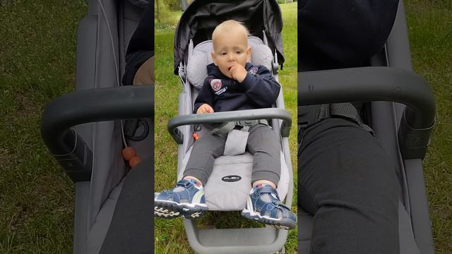 ест клубничку сам 🍓 с аппетитом😃 звуки природы 🔥🍃 смотреть онлайн