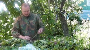 Как заготавливать березовые веники. Часть 2 - вяжем и сушим веник для бани.