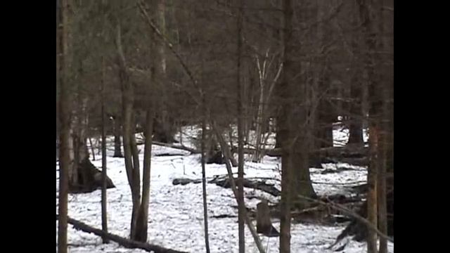 Chaika, Chak - kaban Firsanovka_(190412).wmv