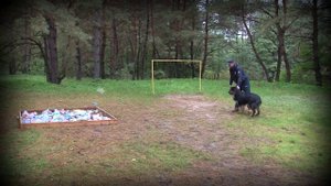 Семинар по породе Ховаварт. Тестирование. 01-05 октября 2013 года.
