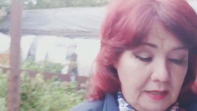 ПОЧЕМУ БЫЧКИ ПЛОХО РАСТУТ/ Why bulls grow poorly смотреть онлайн