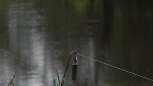 Рыбалка на р.Протва близ г.Кременки в Калужской области в 2016г