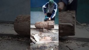 Макита: цепная сетевая пила 3020А. Распиловкаа сухого ясеня диаметром 30 см.