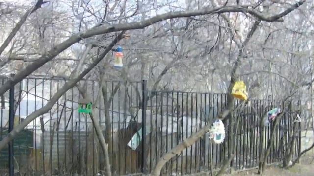 Скворечник.Скворечники для птиц.Оригинальные идеи для скворечников