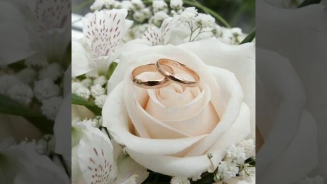 С Брилиантовой свадьбой, 60 лет вместе по жизни! смотреть онлайн