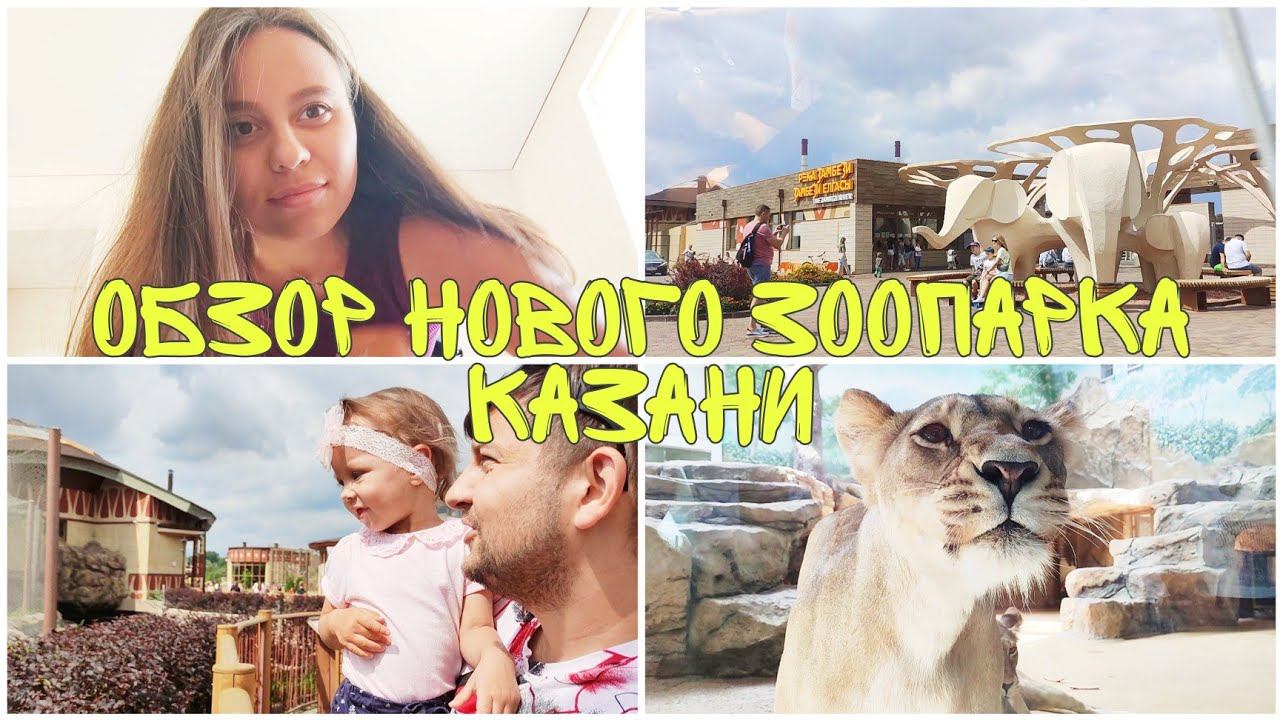 ЗООПАРК Река Замбези в Казани | Наш ОТЗЫВ смотреть онлайн