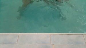 5 месяцев, тренировки в бассейне (4е занятие с ребенком с тренером)