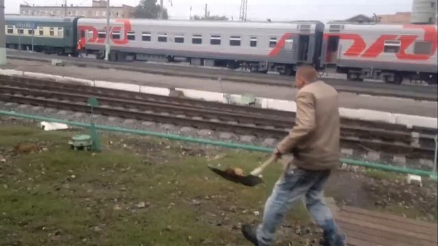 Насрал? Убирай! :D Прикол смотреть онлайн