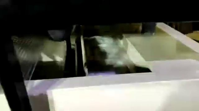 Торговый аквариум для морепродуктов смотреть онлайн