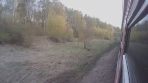 Участок Елец-Ефремов из окна поезда.