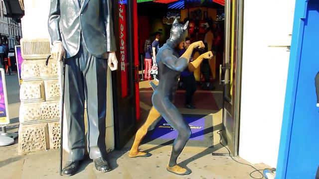 Doberman visits Ripley's Believe it or not смотреть онлайн