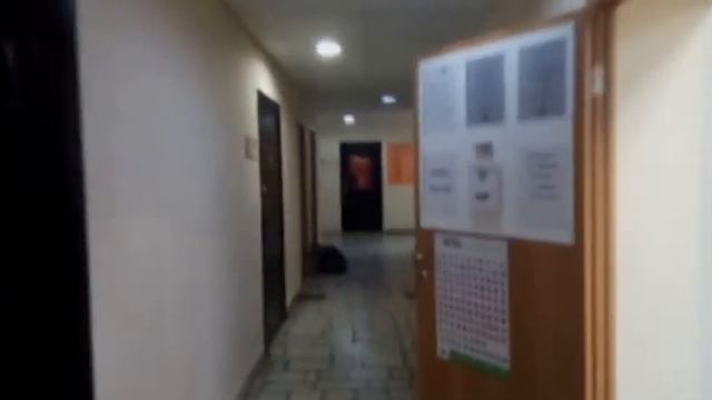 ОЦ Гибискус презентация смотреть онлайн