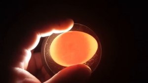 Овоскопирование яиц на 4, 5 и 6 день инкубации