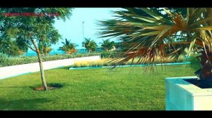 #fujairah Qidfa beach #fujairahuae #shani #struggle #vlog