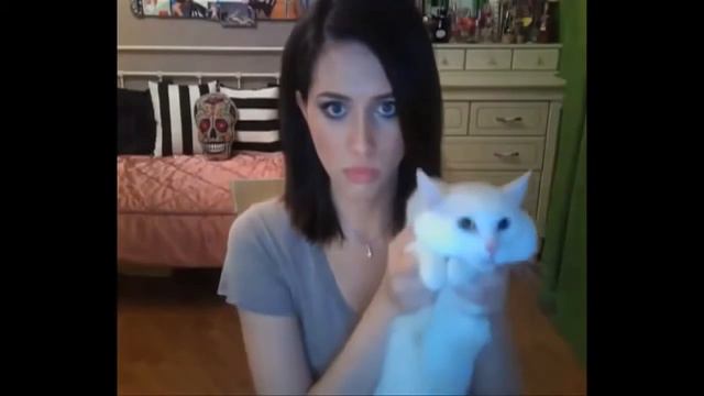 Смешное видео Покажи киску! Всем смотреть киску! Приколы Смотреть ТУТ! Funny vid смотреть онлайн