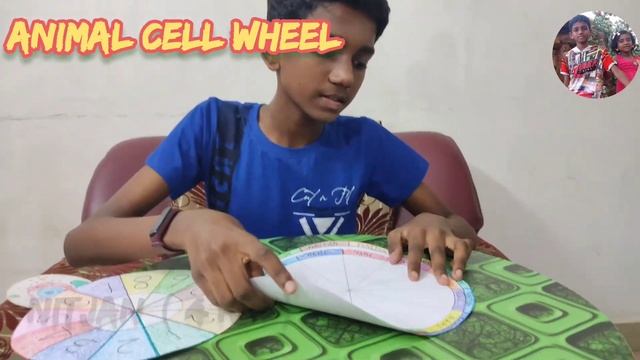 ANIMAL CELL WHEEL | FOLDABLE ANIMAL CELL WHEEL ACTIVITY | GRADE 9 SCIENCE ACTIVITY | DIY смотреть онлайн