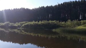 Рай в средней полосе России.
