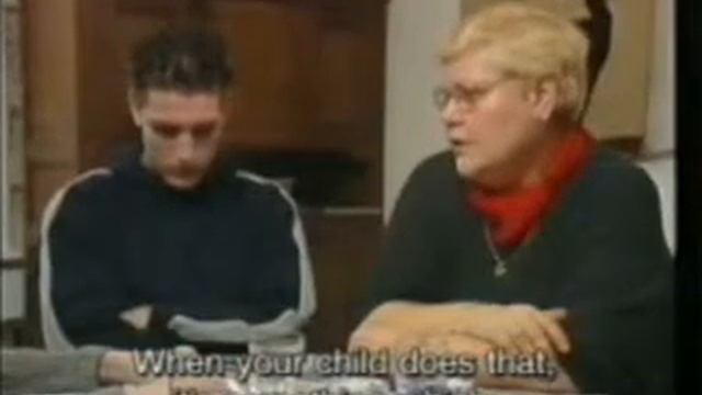 Медиация по уголовным делам (с переводом) смотреть онлайн