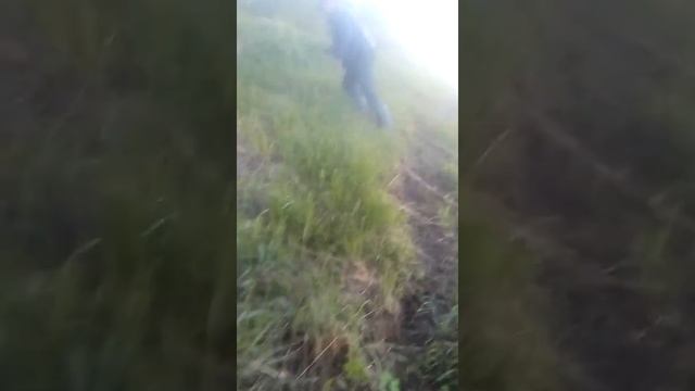 Река Онега . Рыбалка на красивой РЕКЕ. Июнь.