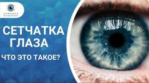 Что такое сетчатка глаза и где она находится?