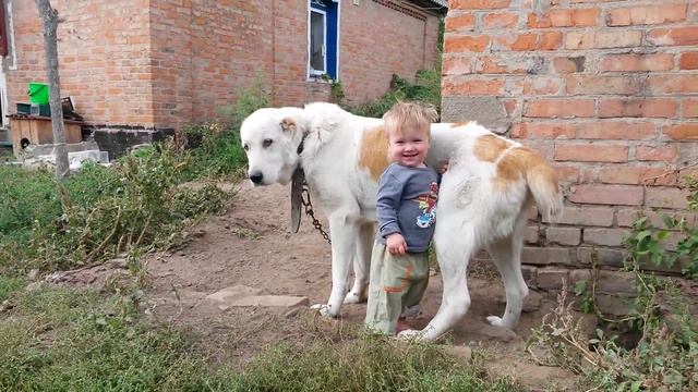 "Дитяча радість" смотреть онлайн