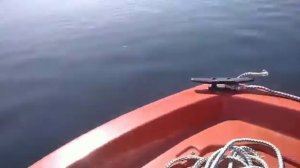 Scandik 340 (Скандик 340) под мотором 9.9 Skipper 9.9 3 августа 2021 г.