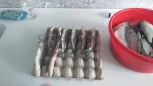 Сушка рыбы в квартире оригинальным способом в яичных клетках