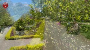 ?Краснодар Рождественская набережная Платановый бульвар Храм Рождества Христова