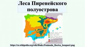 Леса Пиренейского полуострова