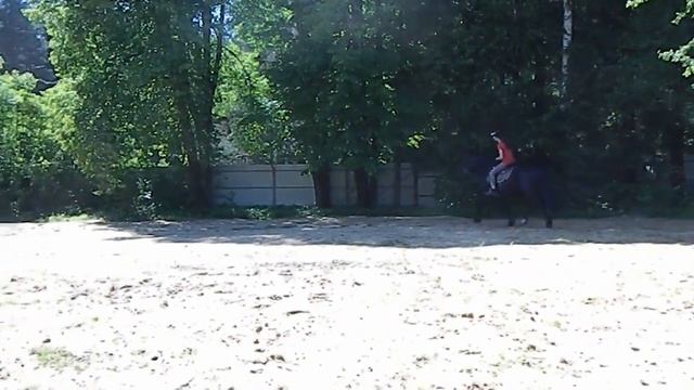 Лидер Джет рысь-галоп, под вестерном смотреть онлайн